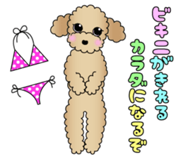 The Toy Poodle stickers 2 sticker #6751875