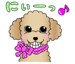 The Toy Poodle stickers 2 sticker #6751884