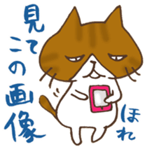 Tam and Dialect of Kanazawa sticker #6752372