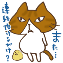 Tam and Dialect of Kanazawa sticker #6752406