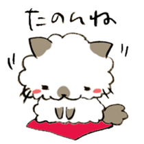 Kanazawa,Ishikawa cat Giuliano 005 sticker #6752494