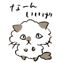 Kanazawa,Ishikawa cat Giuliano 005 sticker #6752495