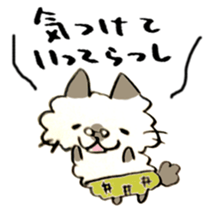 Kanazawa,Ishikawa cat Giuliano 005 sticker #6752504