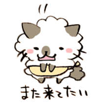 Kanazawa,Ishikawa cat Giuliano 005 sticker #6752505