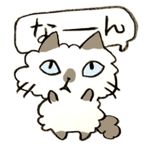 Kanazawa,Ishikawa cat Giuliano 005 sticker #6752512