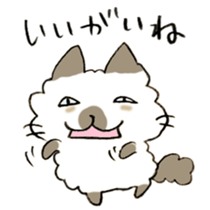 Kanazawa,Ishikawa cat Giuliano 005 sticker #6752521