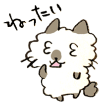 Kanazawa,Ishikawa cat Giuliano 005 sticker #6752522