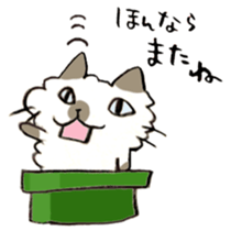 Kanazawa,Ishikawa cat Giuliano 005 sticker #6752525