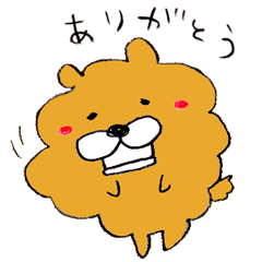 Chata of chowchow dog