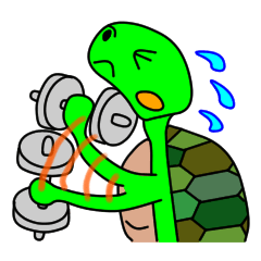 JIN-JIN Turtle Life (2nd)