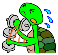 JIN-JIN Turtle Life (2nd) sticker #6755262