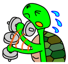 JIN-JIN Turtle Life (2nd) sticker #6755262