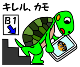 JIN-JIN Turtle Life (2nd) sticker #6755279