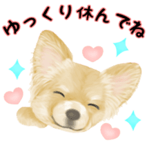 Friendly Chihuahua sticker #6756050