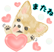 Friendly Chihuahua sticker #6756053