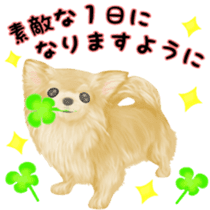 Friendly Chihuahua sticker #6756054