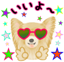 Friendly Chihuahua sticker #6756055