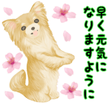 Friendly Chihuahua sticker #6756058