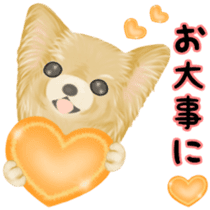 Friendly Chihuahua sticker #6756059