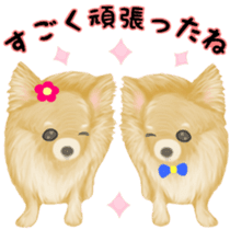 Friendly Chihuahua sticker #6756062