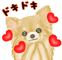 Friendly Chihuahua sticker #6756071