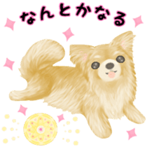 Friendly Chihuahua sticker #6756074