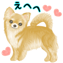 Friendly Chihuahua sticker #6756076