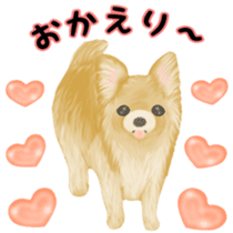 Friendly Chihuahua sticker #6756082