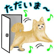 Friendly Chihuahua sticker #6756083