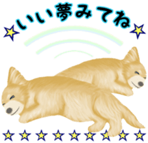 Friendly Chihuahua sticker #6756086