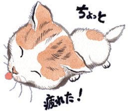 Dream cat 2 sticker #6756948