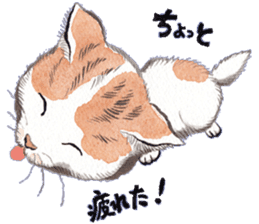 Dream cat 2 sticker #6756948