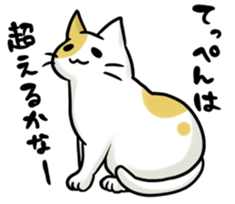 Ad industry cat sticker #6756980