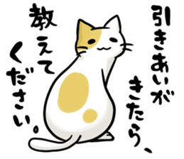 Ad industry cat sticker #6756982