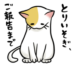 Ad industry cat sticker #6756994