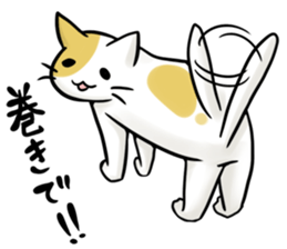 Ad industry cat sticker #6756996