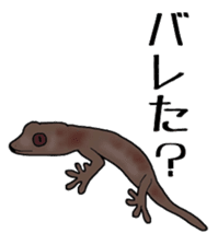 geckos sticker #6757170