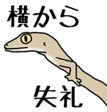 geckos sticker #6757174