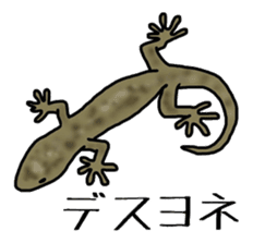 geckos sticker #6757176