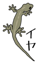 geckos sticker #6757179