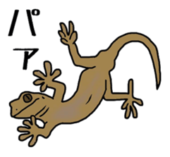geckos sticker #6757180