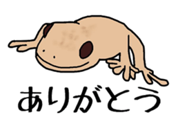 geckos sticker #6757182