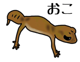 geckos sticker #6757183