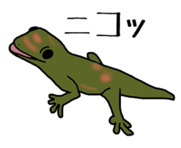 geckos sticker #6757184