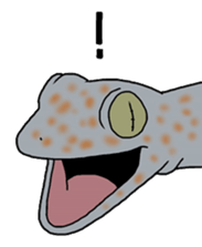 geckos sticker #6757187