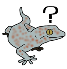 geckos sticker #6757188