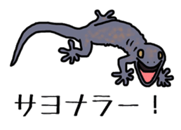 geckos sticker #6757190