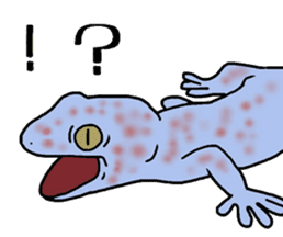 geckos sticker #6757192