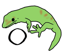 geckos sticker #6757193