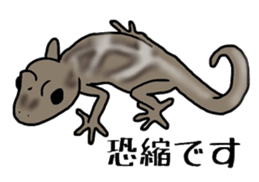 geckos sticker #6757197